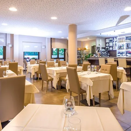Hotel Des Alpes 3*