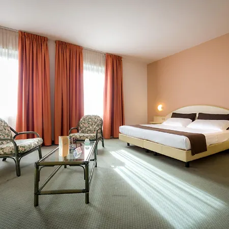 Des Alpes Hotel