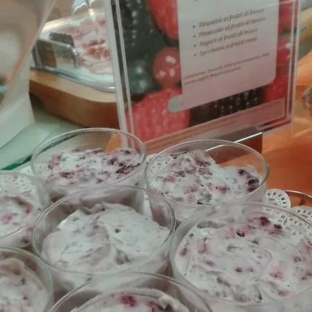 酒店 德阿培丝酒店