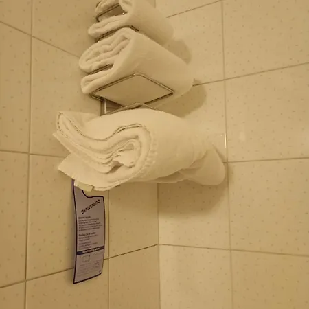 Des Alpes Hotell