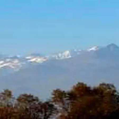 Hotel Des Alpes 3*