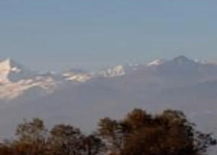 Des Alpes Hotel